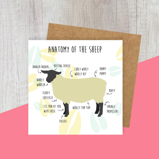 Anatomy of the Sheep Greetings Card