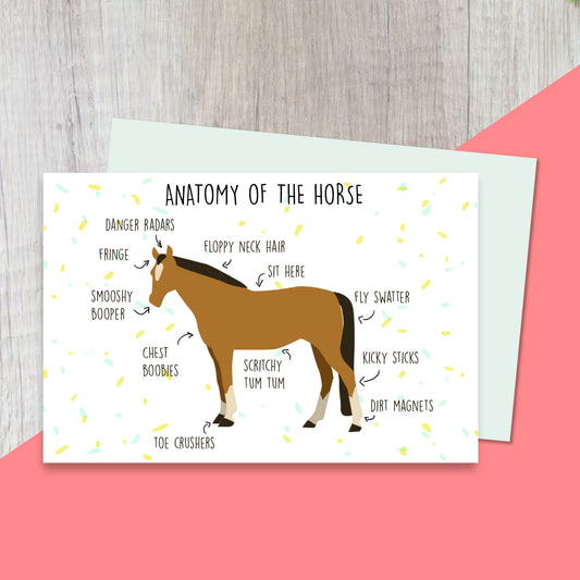 Horse Anatomy A5 Greetings Card
